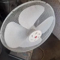 هود ارزان وباکیفیت|هود|بجنورد, |دیوار