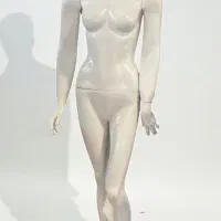 ۲ عدد مانکن ورگال