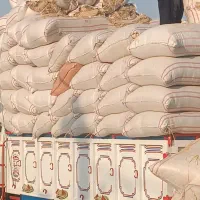 کاه گندم سفید