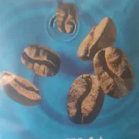 دان قهوه میکس روبوستا فول کافئین کرما شکلاتی|خوردنی و آشامیدنی|مشهد, دریادل|دیوار