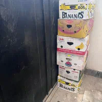 کارتن موز
