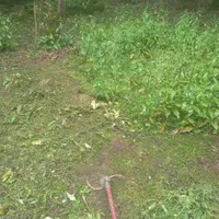 علف تراشی و سم پاشی باغ بادستگاه علف تراش وسم پاش|خدمات باغبانی و درختکاری|کلاچای, |دیوار