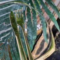 کارد و چنگال