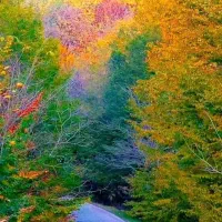 فروش زمین کشاورزی روستای ایرانشاهی