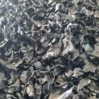 مواد نوار تیپ