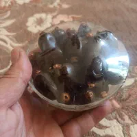 تعدادی میوه و سبزیجات دست ساز در حد طبیعی