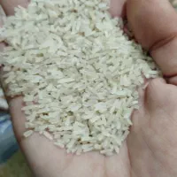 نیم دانه برنج تامیما به شرط پخت وبا کیفیت ممتاز|خوردنی و آشامیدنی|خرمشهر, |دیوار