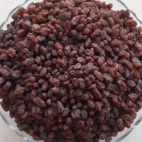 کشمش آفتابی تاکستان