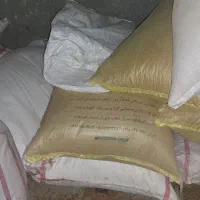 گندم بیرنگ|خوردنی و آشامیدنی|دشت ذهاب, |دیوار