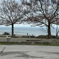 تور یک روزه سورتمه تالش دوشنبه 17 فروردین