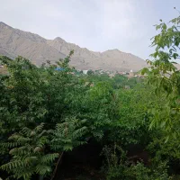 باغچه روستای جارو قابل تهاتر