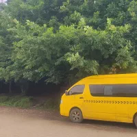 ون وانا دربستی و گردشگری|خدمات حمل و نقل|کرمان, |دیوار