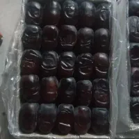 فروش خرمای درجه یک و ناب بلوچستان