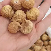 انجیر گوشتی درشت درجه ۱ ارسال رایگان