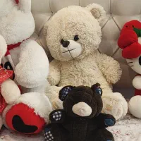 فروش تعدادی عروسک در حد|اسباببازی بچه|گنبد کاووس, |دیوار