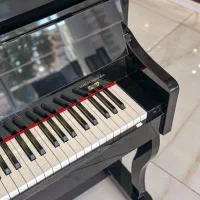 فروش ویژه سری p یاماها|پیانو، کیبورد، آکاردئون|یزد, |دیوار