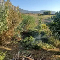 زمین مسکونی دوراهی کلاله