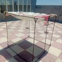 یک جفت کفتر باجوجش وتخم ودوتا قفس فقط ۲۵۰۰