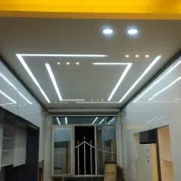 برقکار ، برقکش، برق کار، برق کش