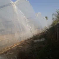 نصب صفر تا صد گلخانه|خدمات پیشه و مهارت|ایذه, |دیوار