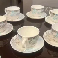 آرکوپال سرویس غذاخوری فرانسه