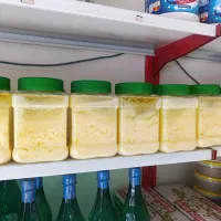 روغن زرد گاوی 450و روغن زرد گوسفندی 2300