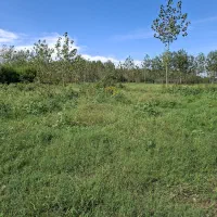 فروش زمین روستایی با‌کاربری مسکونی