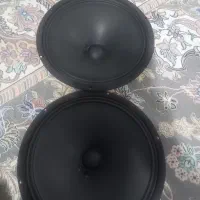 میدرنج ۱۲،سایز،بزرگ در حد نو