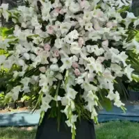 کرایه تاج گل ترحیم ختم تابلو تسلیت 200تومان|خدمات پذیرایی، مراسم|اردبیل, |دیوار