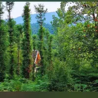 کلبه سویسی خاص