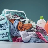استخدام شاگرد