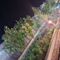 باغ ۷۰۰ متری|فروش خانه و ویلا|مشهد, میان ولایت|دیوار