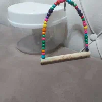 تاب و ظرف حمام پرنده