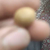 دوعددمهره باستانی خیلی قدیمی