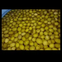 ترشیجات و شوریجات آرین|خوردنی و آشامیدنی|اهواز, آریاشهر|دیوار