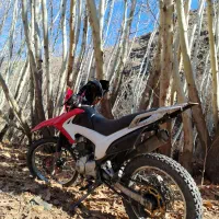 تریل فلات 200|موتورسیکلت|مشهد, شهید هاشمی نژاد|دیوار