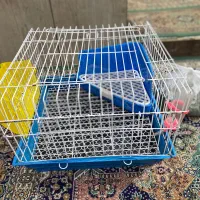قفس خرگوش|لوازم جانبی حیوانات|پاکدشت, پاکدشت (مامازند)|دیوار