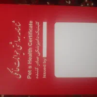 سگ خانگی|سگ|اسلام‌‌آباد غرب, |دیوار