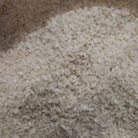 فروش مستقیم برنج کامفیروزی اصل|خوردنی و آشامیدنی|کامفیروز, |دیوار