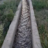 فروش باغ یامعاوضه باماشین