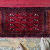 قالیچه ( پشتی ) دست باف|فرش|مشهد, سرافرازان|دیوار