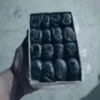 خرمای دوردیف