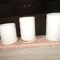 تعدادی گل و گلدان