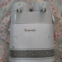 فلاکس دو قلو