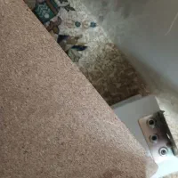 تخت یک نفره|تخت و سرویس خواب|مشهد, الهیه|دیوار