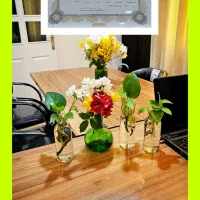 ثبت نام آکادمی زبان های خارجه ایران استرالیا