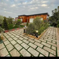 سگ پیدا شده حوالی کوهسار