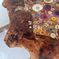 میز اوشن گلس چوب چنار سرخ و گل طبیعی|مبلمان خانگی و میز عسلی|تهران, جیحون|دیوار