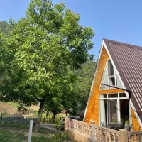 کلبه سویسی جاده ییلاقات|اجارهٔ کوتاهمدت ویلا و باغ|ماسال, |دیوار