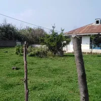 خانه-محوطه-روستایی-جنگلی